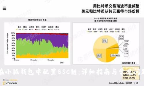 如何在小狐钱包中配置BSC链：详细指南与常见问题解答