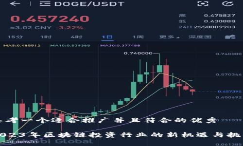 思考一个适合推广并且符合的优秀

2023年区块链投资行业的新机遇与挑战