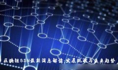 区块链BSN最新消息解读：