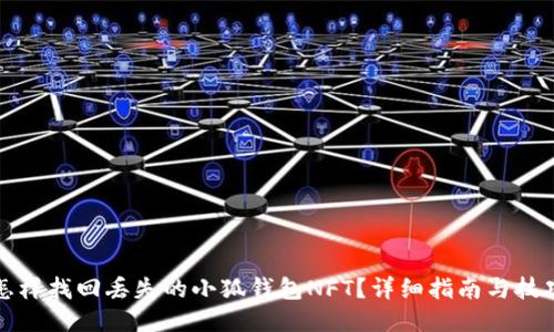 怎样找回丢失的小狐钱包NFT？详细指南与技巧