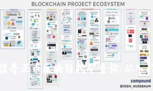 全面解读奇亚币区块链挖矿查询：从入门到精通