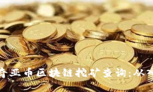 全面解读奇亚币区块链挖矿查询：从入门到精通