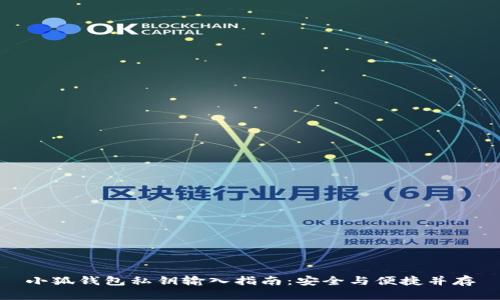 小狐钱包私钥输入指南：安全与便捷并存