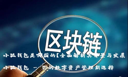 小狐钱包是哪国的？全面解析其背景与发展

小狐钱包 - 你的数字资产管理新选择