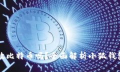 小狐钱包可以放比特币吗？全面解析小狐钱包的