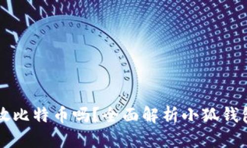 小狐钱包可以放比特币吗？全面解析小狐钱包的功能与使用