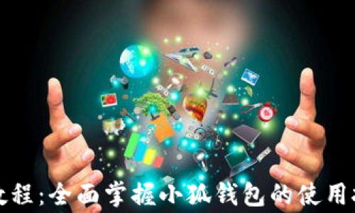 
小狐钱包测试教程：全面掌握小狐钱包的使用技巧与注意事项