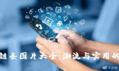 小狐钱包链条图片大全：潮流与实用的完美结合