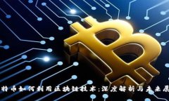 比特币如何利用区块链技术：深度解析与未来展