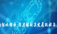 境外区块链比特币：深度解析其发展现状与未来