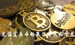 小狐钱包充值鲨鱼币的最佳方式与常见问题解析