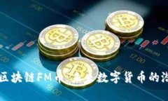 深入解析区块链FM币：未来