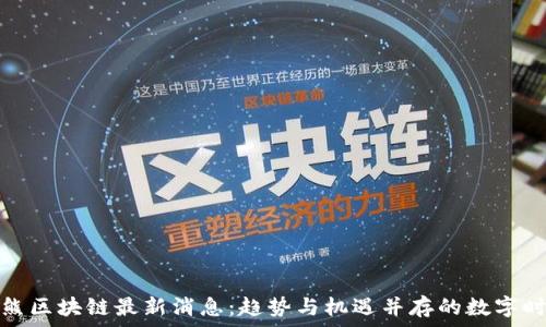   
大熊区块链最新消息：趋势与机遇并存的数字时代
