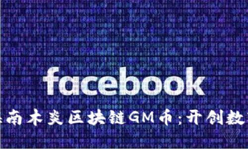 : 马云投资海南木炎区块链GM币：开创数字货币新纪元