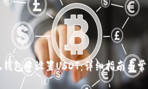 如何在小狐钱包中设置USDT：详细指南与常见问题解答