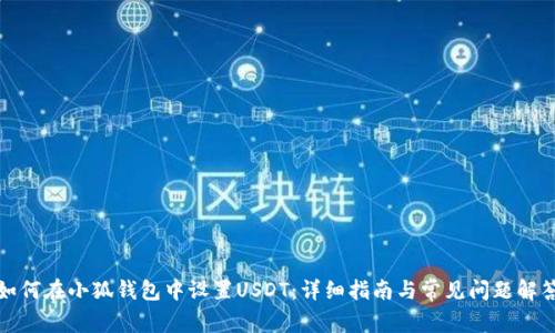 如何在小狐钱包中设置USDT：详细指南与常见问题解答