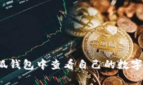如何在小狐钱包中查看自己的数字货币余额？
