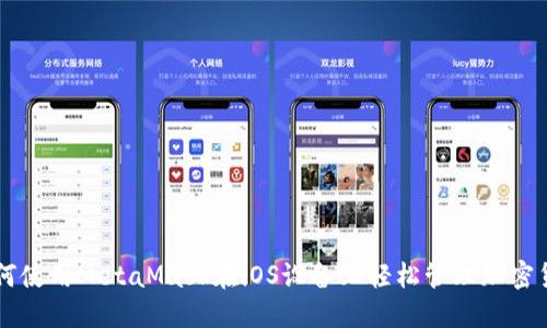 如何使用MetaMask在iOS设备上轻松管理加密货币