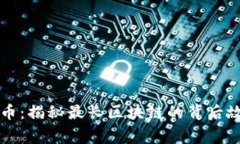 深入了解比特币：揭秘最