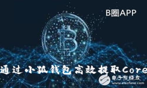 如何通过小狐钱包高效提取Core视频