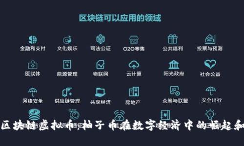 探索区块链虚拟币：柚子币在数字经济中的崛起和发展