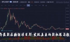 2023年最新区块链项目群：