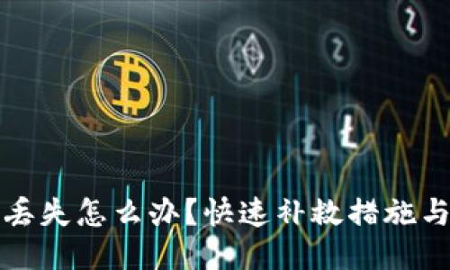 小狐钱包丢失怎么办？快速补救措施与防盗技巧