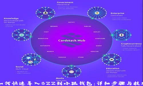 
如何快速导入BZZ到小狐钱包：详细步骤与技巧