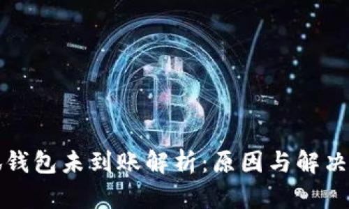 小狐钱包未到账解析：原因与解决方案