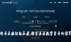 比特币区块链继承者：探