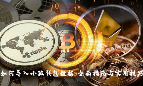 如何导入小狐钱包数据：全面指南与实用技巧
