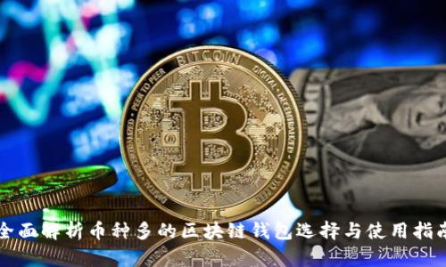全面解析币种多的区块链钱包选择与使用指南
