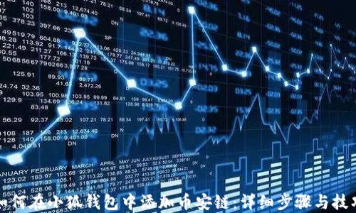 
如何在小狐钱包中添加币安链：详细步骤与技巧