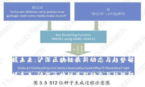 把握未来：沪深区块链最新动态与趋势解析

把握未来：沪深区块链最新动态与趋势解析