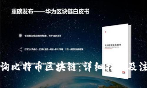 如何查询比特币区块链：详细指南及注意事项