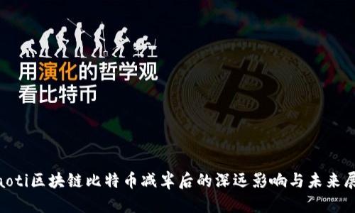 ziaoti区块链比特币减半后的深远影响与未来展望